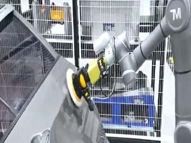 TM Robot - Application of car doors metal polishing